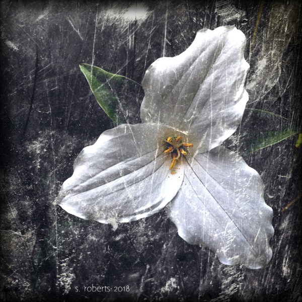 IMG_20180517_120923_20180601102050918