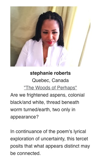 image_poet_stephanie_roberts_the_woods_of_perhaps